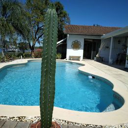 Peruvian Apple Cactus