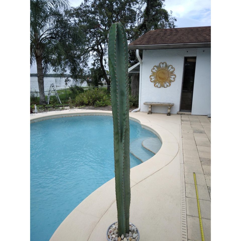 Peruvian Apple Cactus